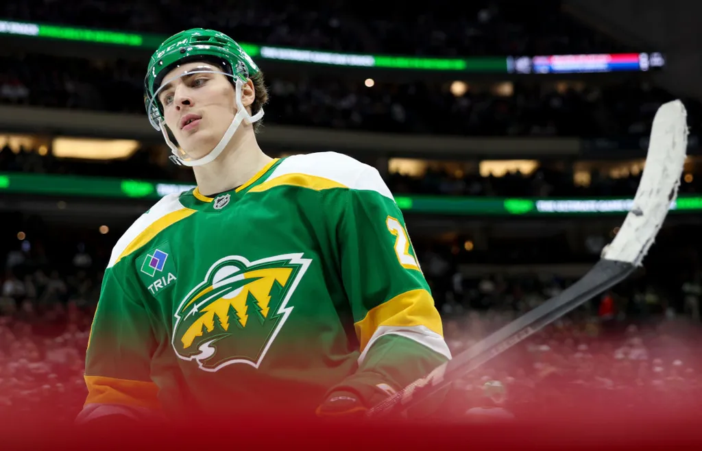 Liam Öhgren fick göra 24 matcher i NHL denna säsong