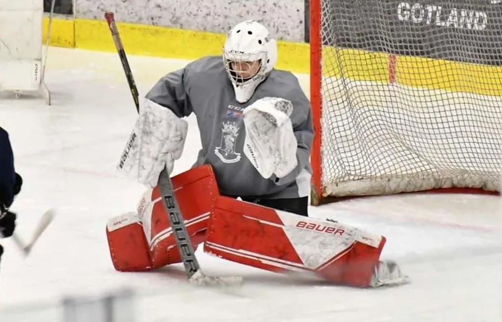 Mark Tkach mellan Gotlands stolpar i TV-pucken 2024