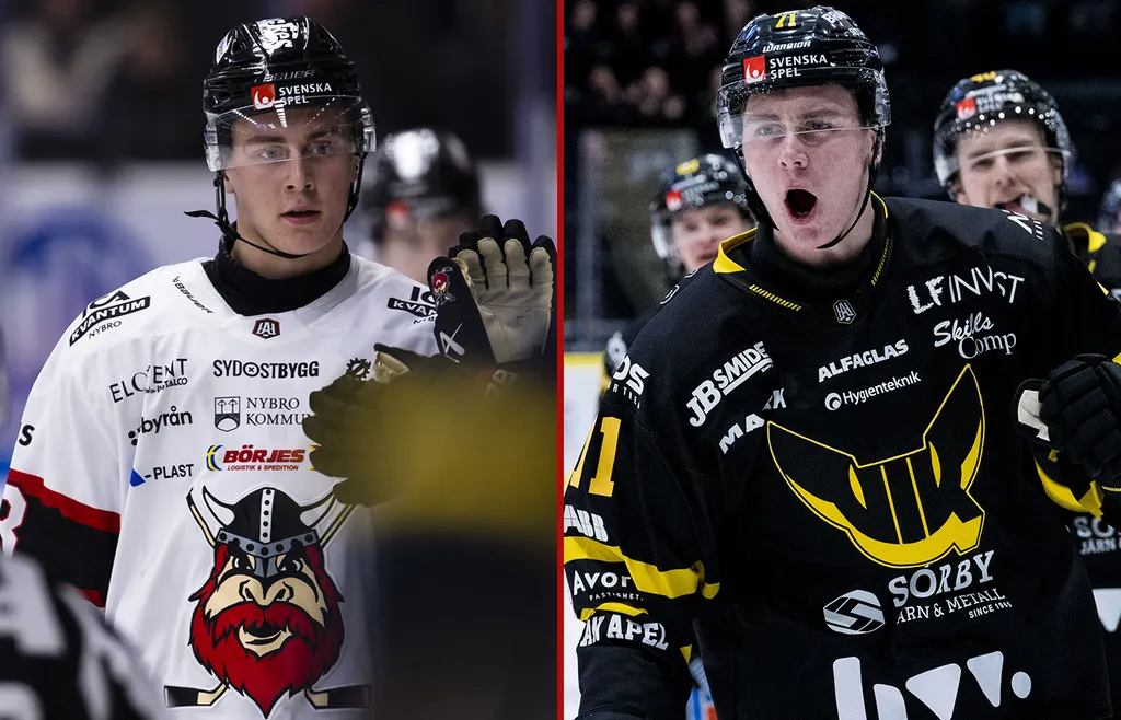 Herman Träff har tidigare spelat allsvensk hockey på lån hos Nybro och Västerås