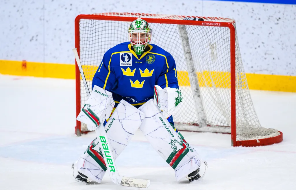 Milo Tjärnlund har imponerat både i landslaget och i Rögle U20 under säsongen