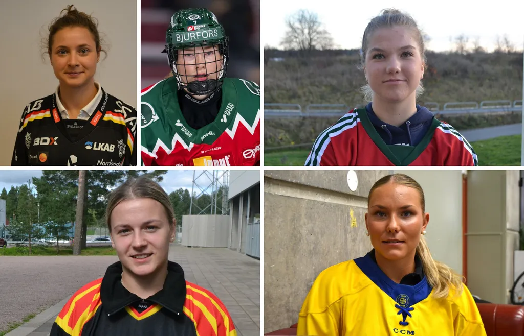 Veckans All-Star Team i SDHL. På bilden saknas Gabrielle David