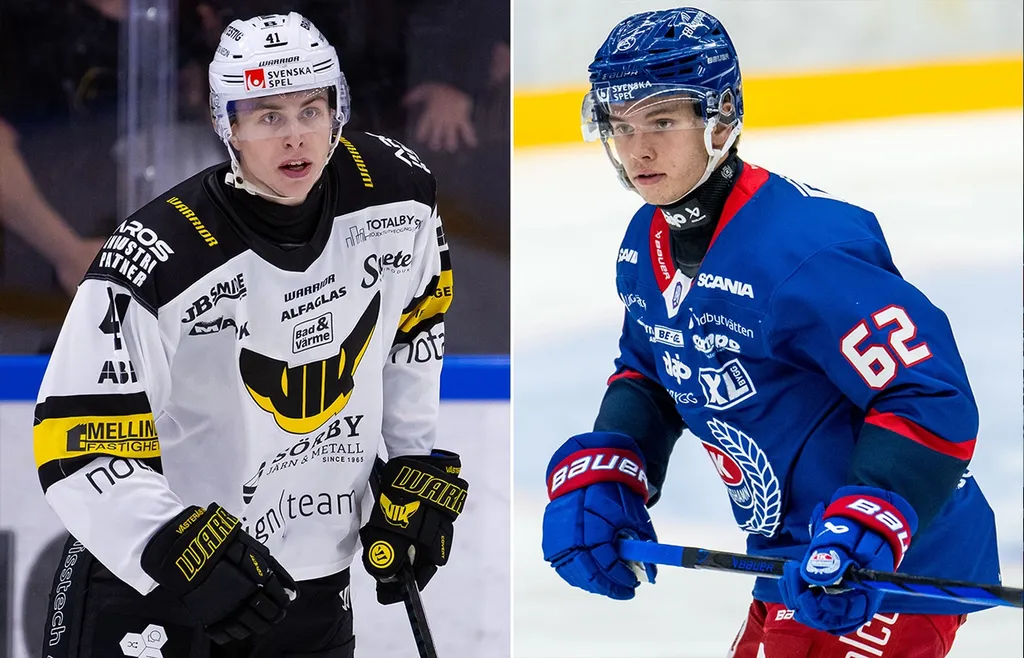 Simon Zether och Felix Nilsson kommer att stanna i HockeyAllsvenskan