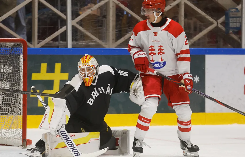 Colin Delia är ny målvakt i Brynäs