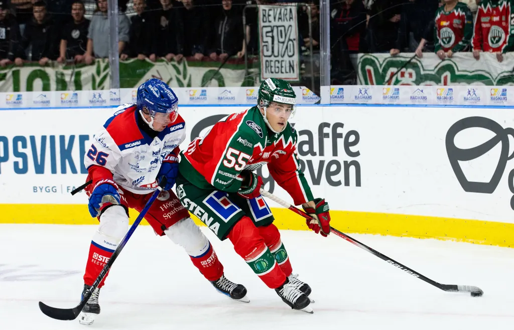 Max Lindroth hade en mer defensiv roll under sin tid i SHL