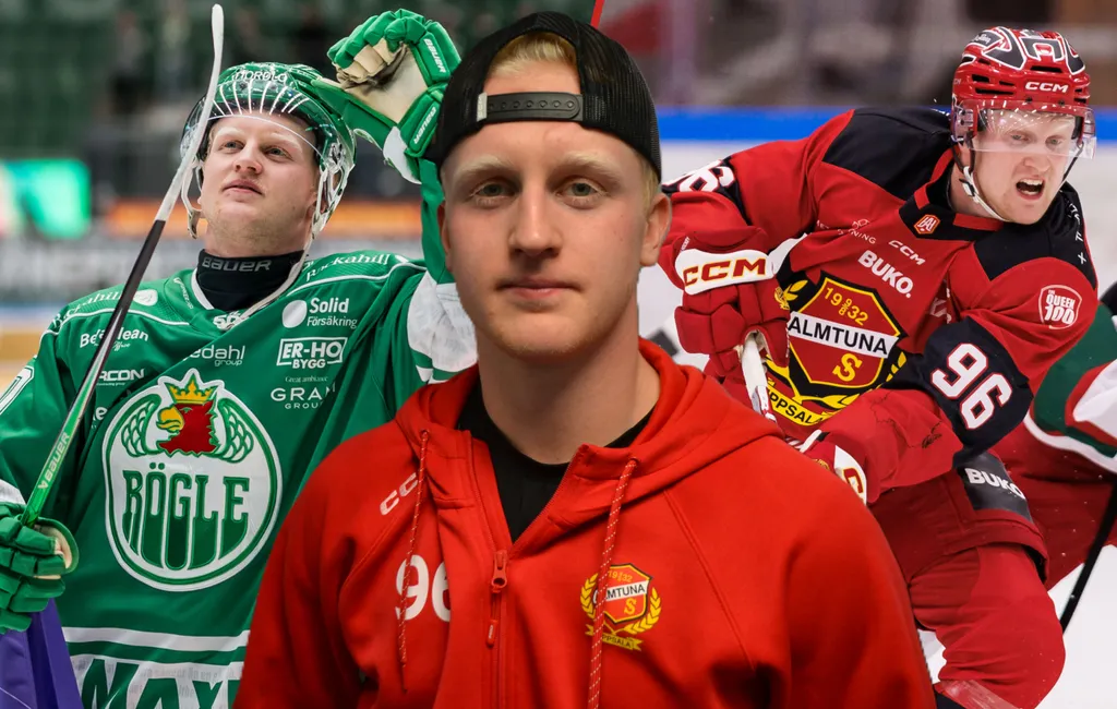 Marwin Jarbsjö har bytt Rögle mot Almtuna.