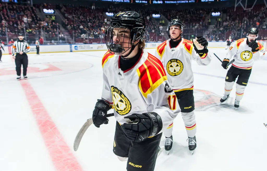 Michal Svrcek kom fram starkt i Brynäs förra säsongen