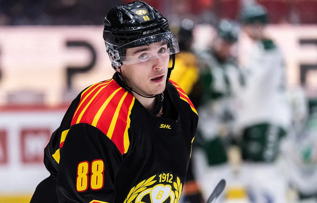 Det blev bara en säsong i Admiral för den förre Brynäsforwarden Dmytro Timashov.