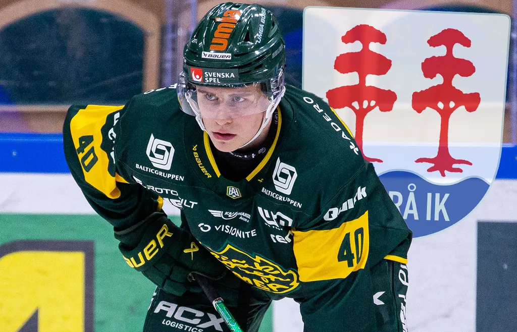 Alfons Freij är ett bra framtidsnamn för Timrå. FOTO: Johan Löf/Bildbyrån