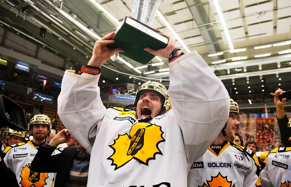 Joacim Eriksson var en hyllad guldmålvakt i Skellefteå 2013.