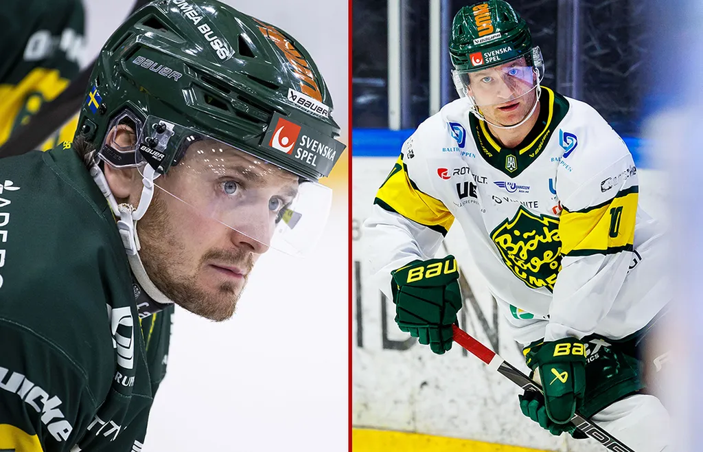 Fredrik Forsberg och Marcus Nilsson var dominanta i grundserien, men försvann i slutspelet