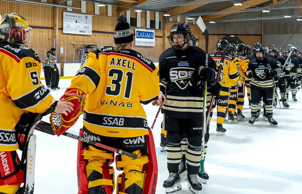 Luleå slog SDE med 3–0 i matcher i sin semifinal