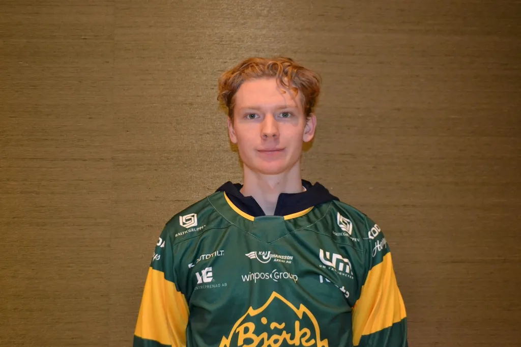 Den tidigare "Löven"-målvakten hoppas på Umeå-laget till SHL
