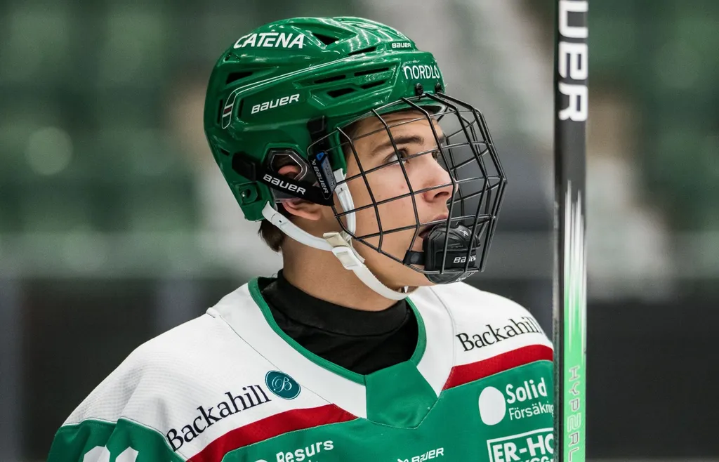 Nils Bartholdsson är en mycket spännande spelare i Rögle