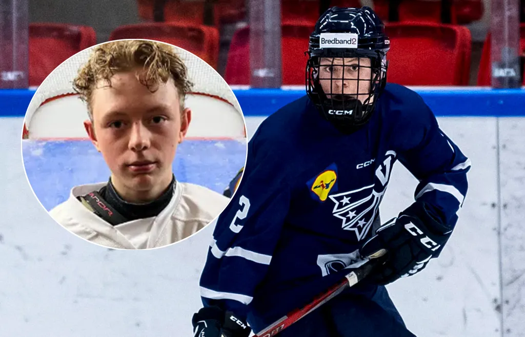 Douglas Johnsson under TV-pucken