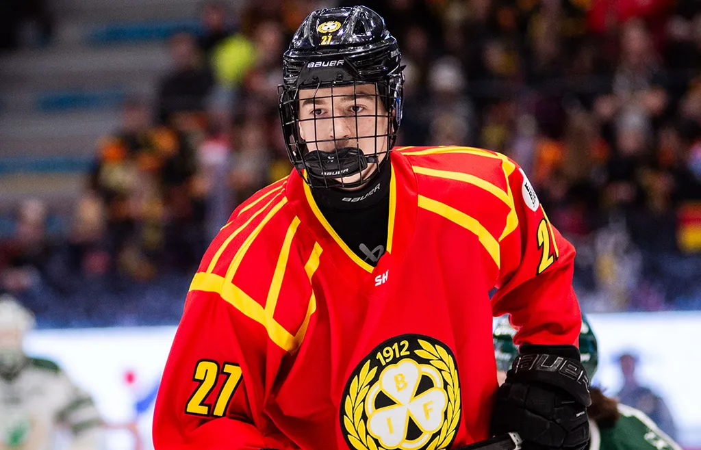 Gustav Hillström är en av många gallerspelare i Brynäs