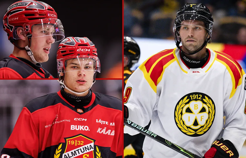 Calle Järnkrok saknas – då har Brynäs plockat tillbaka lånespelarna.
