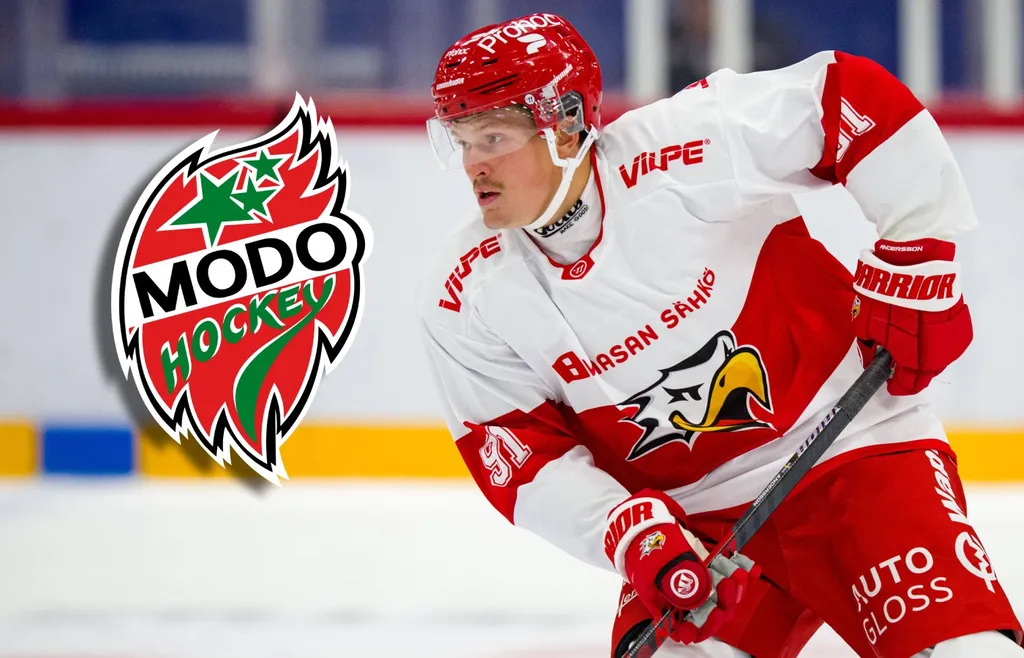 Linus Andersson MoDo Hockey