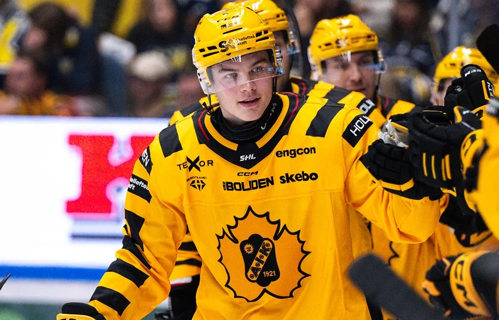 Axel Sandin Pellikka fortsätter övertyga i Skellefteås backlinje
