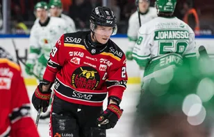 Oväntade planen efter karriären: "Skulle passa mig"