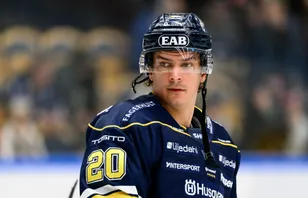 Uppgifter: Visar intresse för Petersson