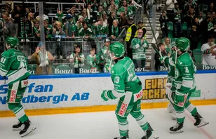 Trion skadad – han missar resten av kvartsfinalsserien