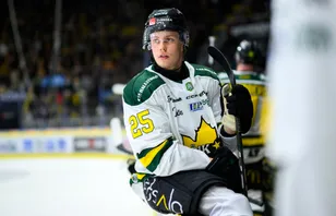 Lovande backen klar för spel i Hockeyettan