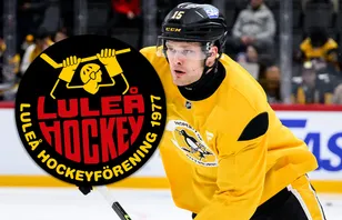 Uppgifter: Luleå lägger bud – kan värva från NHL-klubben