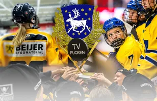 Västerbotten – kommentarer om ALLA spelare