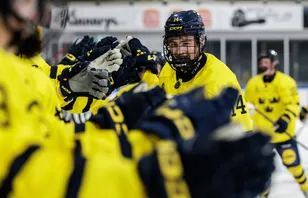 Här är U17-landslagets nya trupp