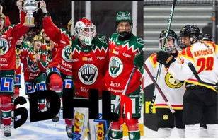 ENKÄT: Så går finalserien: "Till slut är det dags för Brynäs"