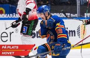 Norska målfesten på Hovet: "Nästan sjuttonde maj i dag"