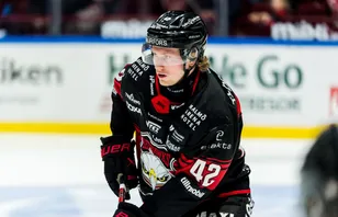 Insidern: Flera NHL-lag följer SHL-backen