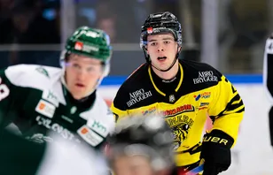 Toppklubben lånar in SHL-meriterad back