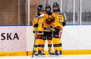 Segersviten sprack för Brynäs mot Luleå