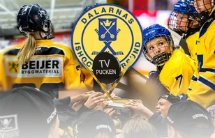 TV-pucken: Kommentarer om ALLA spelare – Dalarna