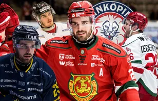 Arvid Degerstedt har tagit sig till SHL som 27-åring.