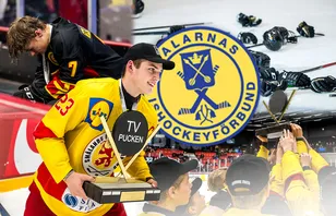 Dalarna - kommentarer om ALLA spelare