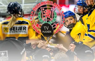 TV-pucken: Kommentarer om ALLA spelare – Östergötland