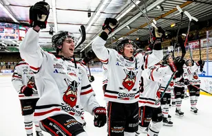 Nybro Vikings får spela i HockeyAllsvenskan även nästa år. 