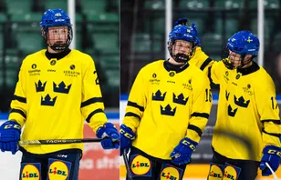 Scoutrapport Hlinka: "Något vi inte ser så ofta"