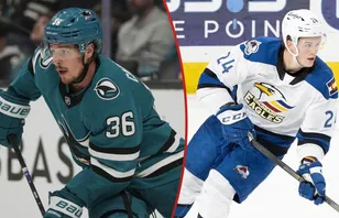 Svenskarna imponerar i AHL - på utgående kontrakt
