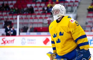 Tidigare JVM-svensken återkallas till NHL