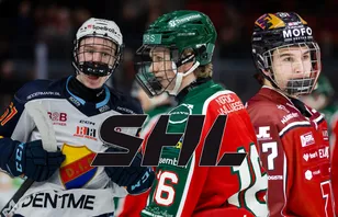Jätteranking: Så bra talangpool har SHL-lagen