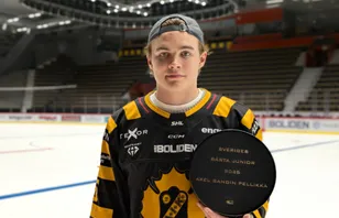 Axel Sandin-Pellikka vinner Elite Prospects Award 2025