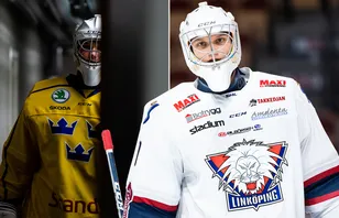 Doldisen: "Då är jag redo att åka tillbaka till Sverige"