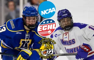 Tillbaka i Sverige – efter spel i ECHL: "Fight varje match"