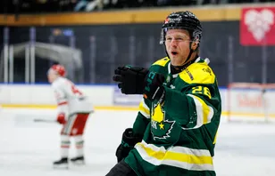 Sebastian Fakt är klar för Visby/Roma.