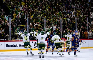 260919 BjÃ¶rklÃ¶vens supportrar jublar efter 0-2 under ishockeymatchen i SHL mellan DjurgÃ¥rden och BjÃ¶rklÃ¶ven den 19 september 2026 i Stockholm. Foto: Jesper Zerman / BILDBYRÃN / kod JZ / JZ0754