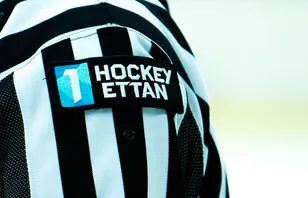 Bekräftar: Tackar ja till platsen i Hockeyettan