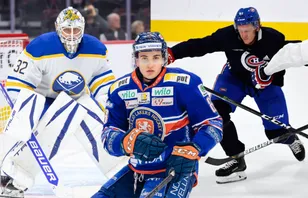 NHL- och AHL-svenskarna som är kontraktslösa